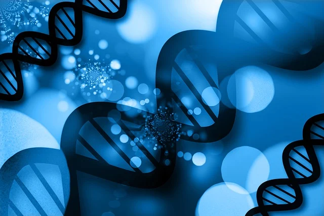 高效聚氨酯硬泡催化劑，確保泡沫快速固化，具有高閉孔率和優(yōu)異的保溫性能