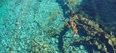 聚氨酯復(fù)合材料增硬劑